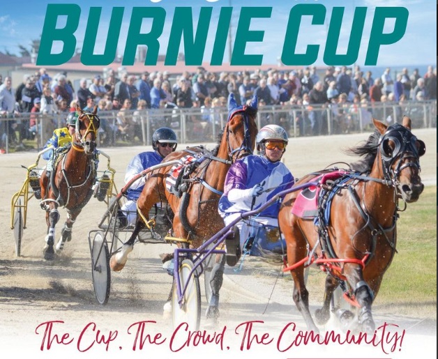 burnie-cup_1.jpg