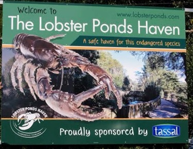 Lobster Ponds