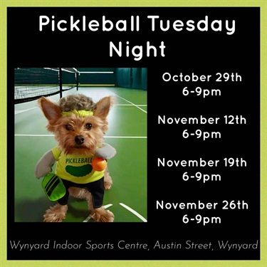 Pickleball