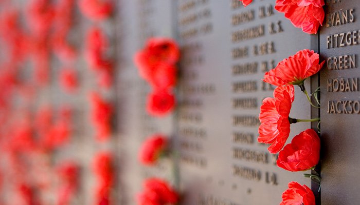 anzac day poppies