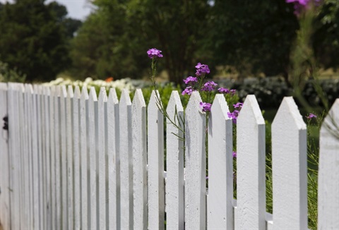 fence